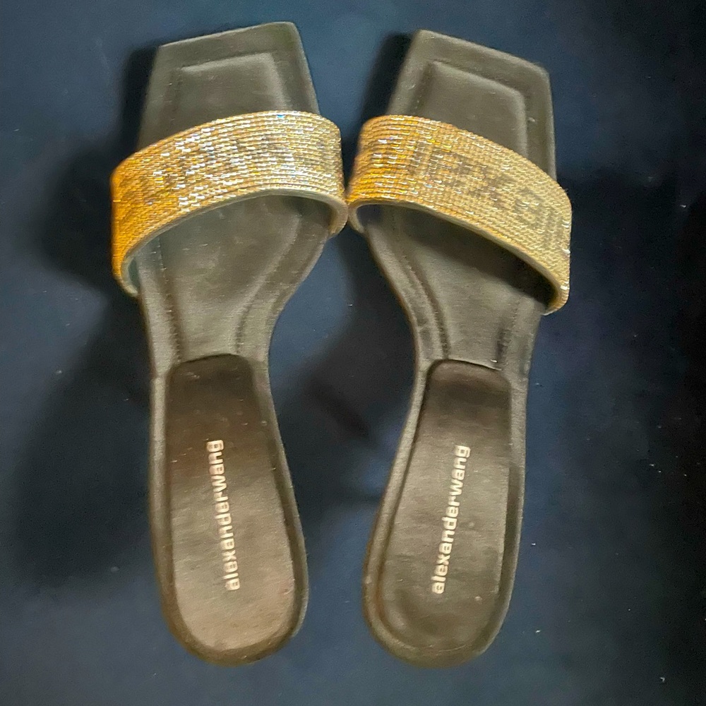 Alexander Wang Jessie Sandals (55 mm), Size 38
